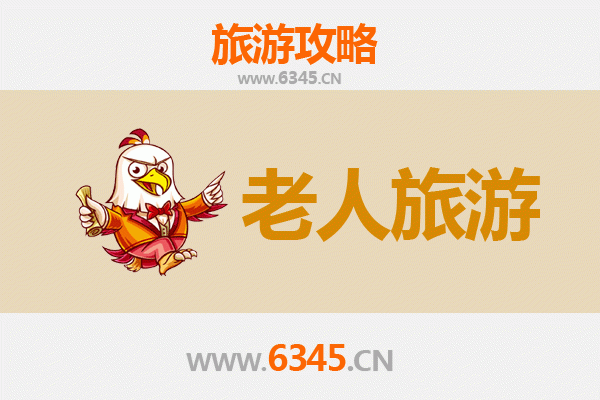 荆州公安银发之旅：慢游古城，乐享安逸时光